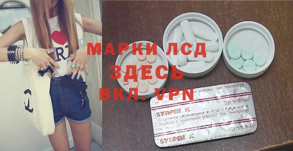 твердый Арсеньев
