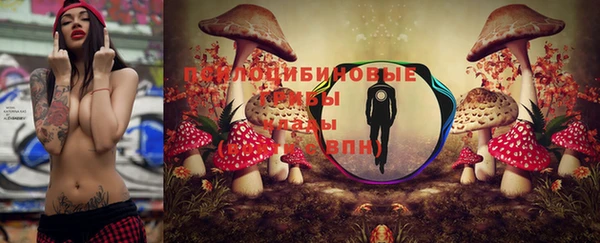 твердый Арсеньев