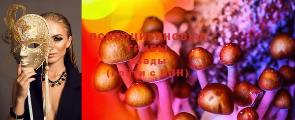 твердый Арсеньев