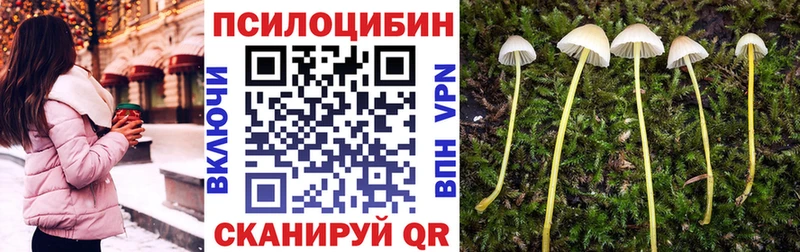 Псилоцибиновые грибы ЛСД  гидра tor  Поронайск 